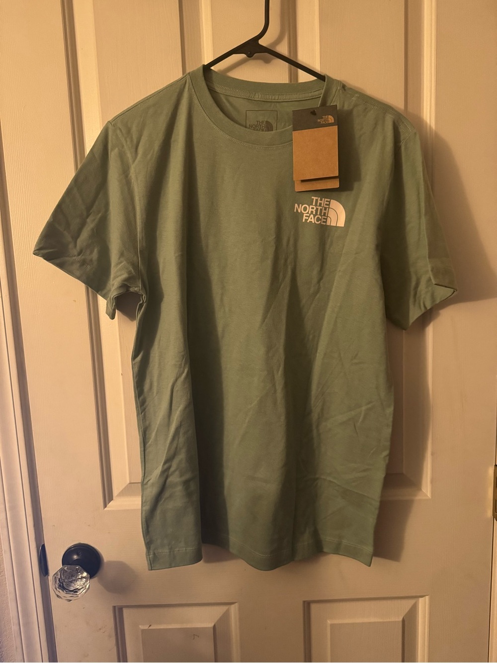 The North Face Men’s Short Sleeve Tee in Sage